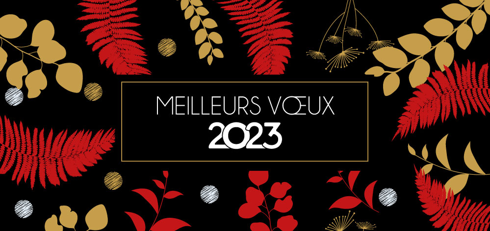 Voeux année 2023 Cabinet Dentaire Du Pays Blanc Saint Molf 44